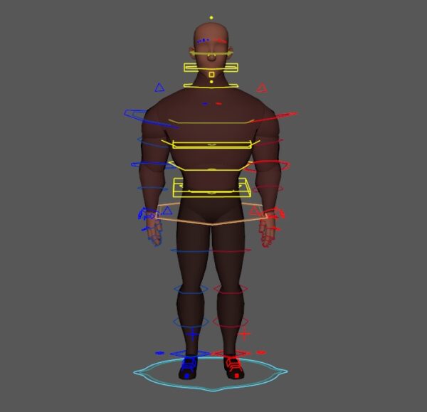 Body Mechanics rig - Image 2