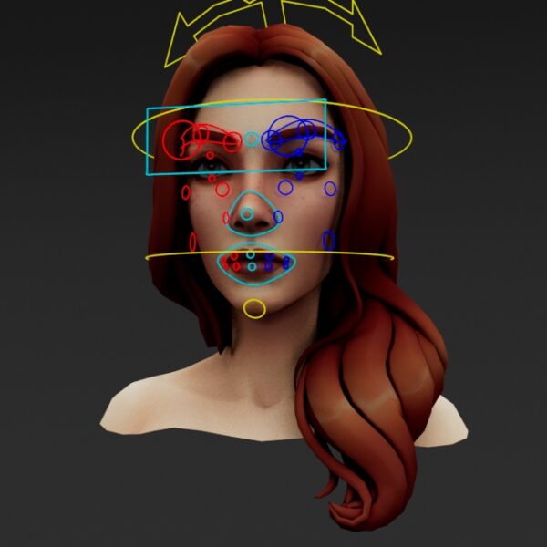Female Facial rig
